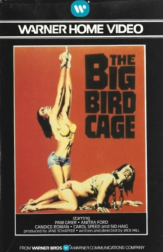 VHS Cover (Warner Brother)