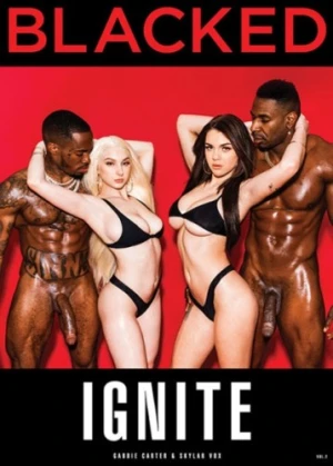 DVD Cover (Blacked)