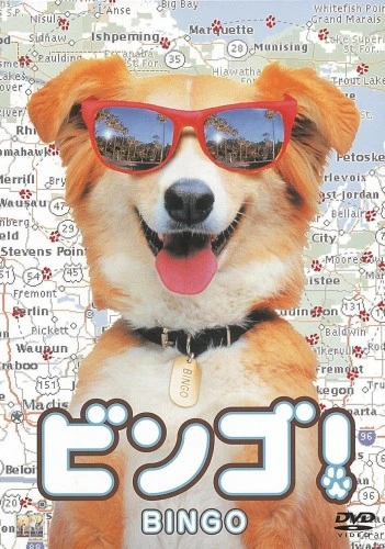 DVD Cover (Japan)