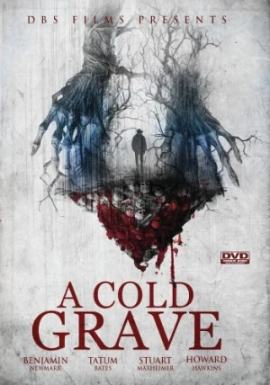 DVD Cover (DBS Publishing)