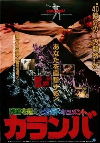 Theatrical Poster (Japan)
