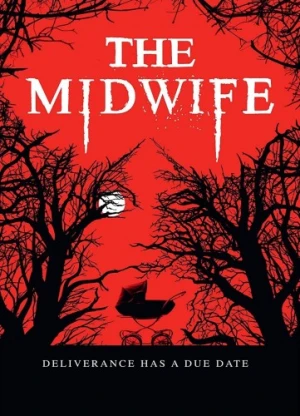 DVD Cover (4Digital Media)