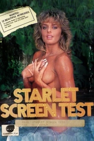 VHS Cover (Continental Video)