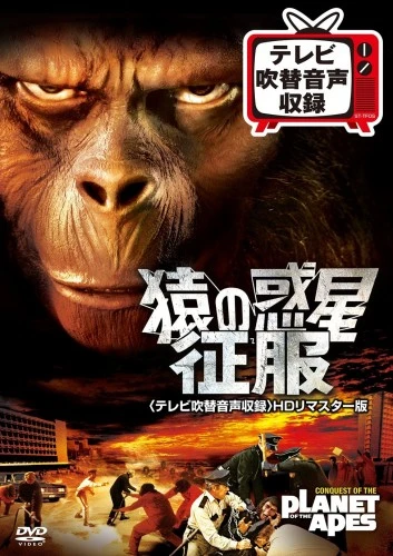 DVD Cover (Japan)