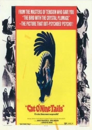 DVD Cover (AFA Entertainment)