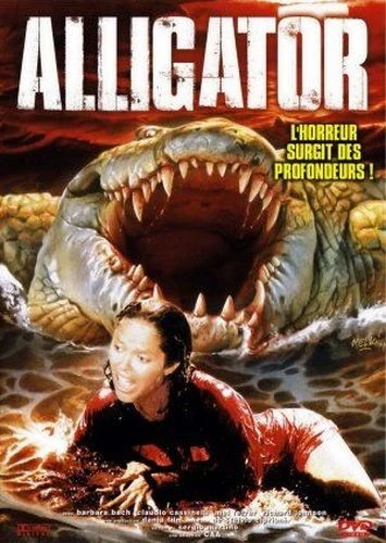 DVD Cover (France)