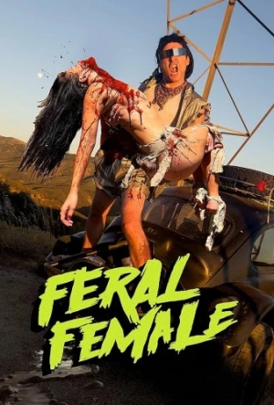 DVD Cover (Frolic Pictures)