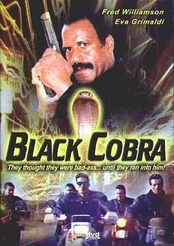 DVD Cover (Passion Productions)