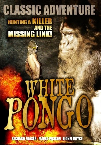 DVD Cover (Unknown)