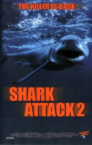 VHS Cover (Highlight)