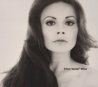 Ann Miles
