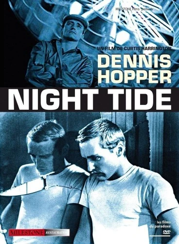 DVD Cover (France)