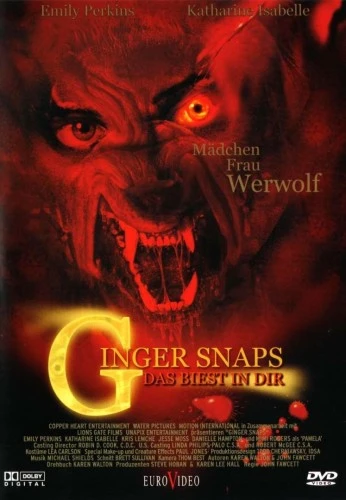 DVD Cover (Germany)