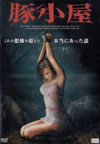 DVD Cover (Japan)