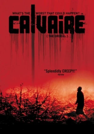 DVD Cover (Palm Pictures)