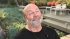 Michael Gershman