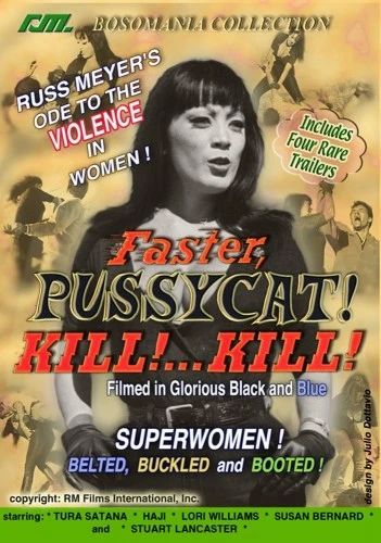 DVD Cover (RM Films)
