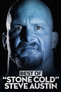 The Best Of WWE: The Best Of Stone Cold Steve Austin