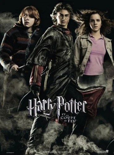 Theatrical Poster (France)