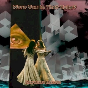 Were You in That Mirror Cube?