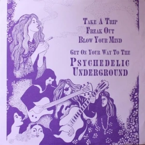 Take A Trip, Freak Out, Blow Your Mind, Get On Your Way To The Psychedelic Underground - A Swamp Room Happening 2000
