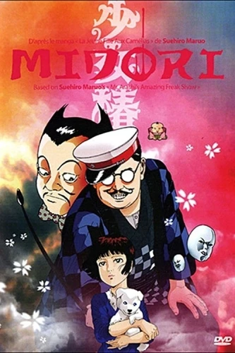 DVD Cover (France)