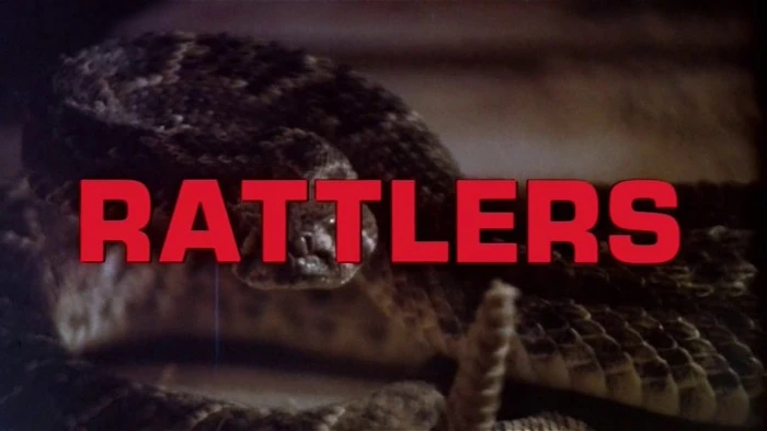Title Card