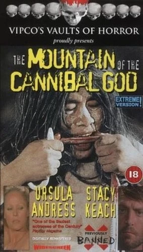 VHS Cover (UK)