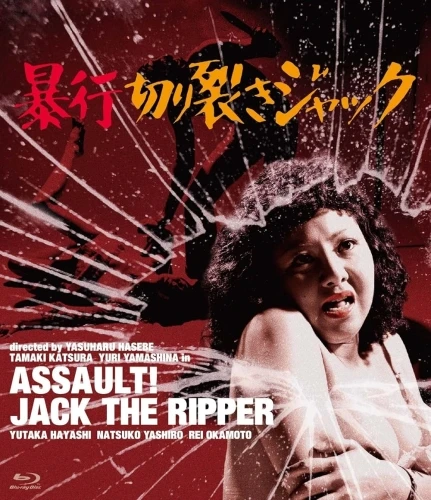 Blu-Ray Cover (Japan)