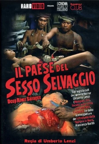 DVD Cover (Raro Video)
