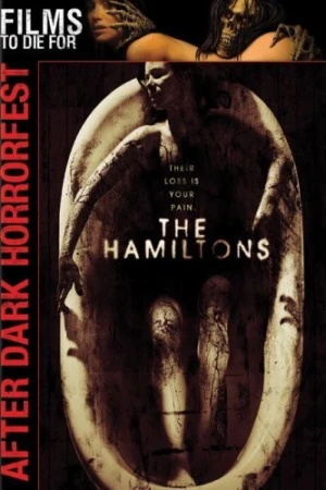 DVD Cover (Lions Gate)