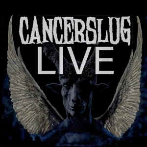 Live