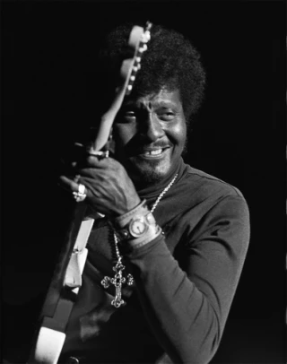Albert Collins