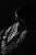 Stephen David Brooks