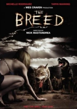 DVD Cover (First Look Home Entertainment)
