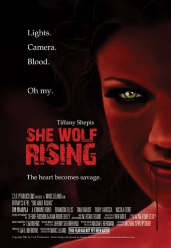 Theatrical Poster (USA)