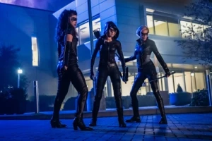 Green Arrow & the Canaries