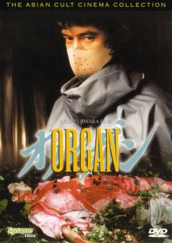 DVD Cover (Synapse)