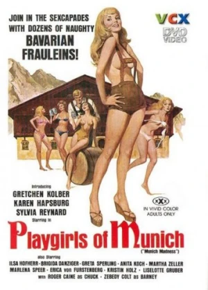 DVD Cover (VCX)