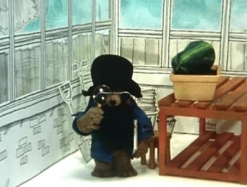Paddington Turns Detective