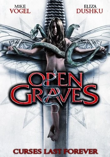 DVD Cover (Lions Gate)