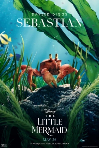 Theatrical Poster (USA)