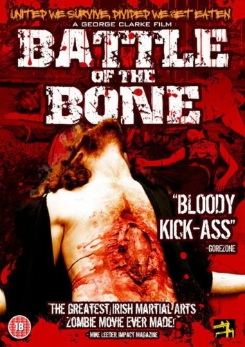DVD Cover (UK)