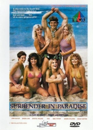 DVD Cover (VCX)