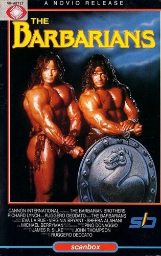 VHS Cover (Netherlands)