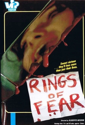 VHS Cover (VideoFilm Promotions)