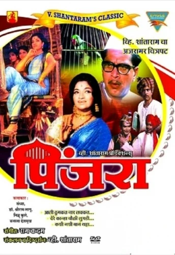 DVD Cover (India)