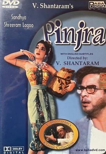 DVD Cover (Baba Digital)