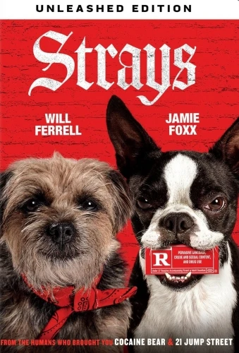 DVD Cover (Universal)