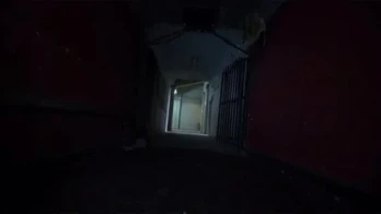 Nightmare at the Roxie